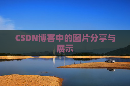 CSDN博客中的图片分享与展示